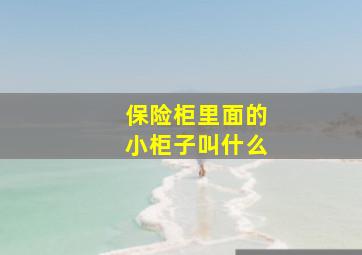 保险柜里面的小柜子叫什么