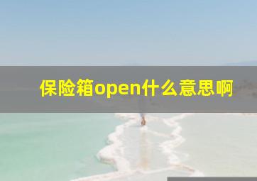 保险箱open什么意思啊