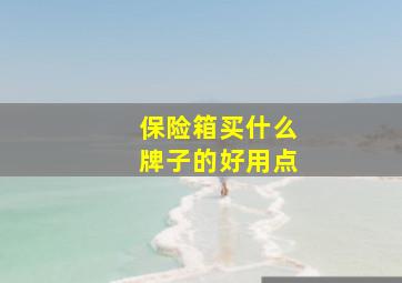 保险箱买什么牌子的好用点