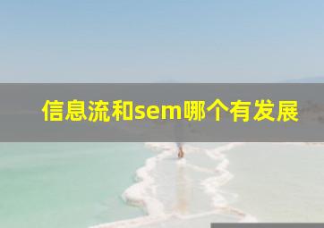 信息流和sem哪个有发展