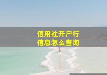 信用社开户行信息怎么查询