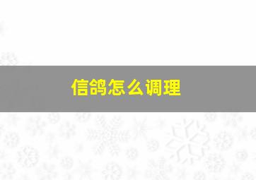 信鸽怎么调理