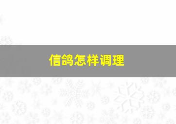 信鸽怎样调理