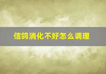 信鸽消化不好怎么调理