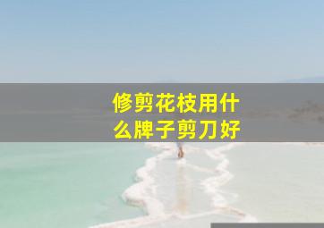 修剪花枝用什么牌子剪刀好