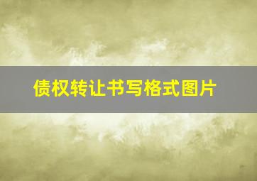 债权转让书写格式图片