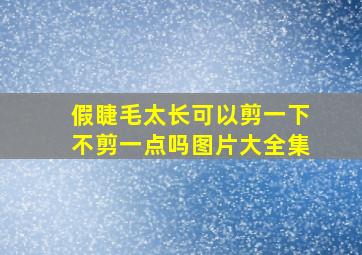 假睫毛太长可以剪一下不剪一点吗图片大全集