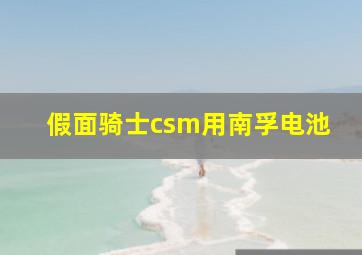 假面骑士csm用南孚电池