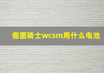 假面骑士wcsm用什么电池