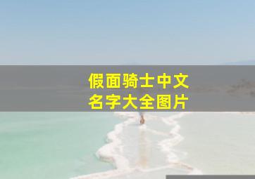 假面骑士中文名字大全图片