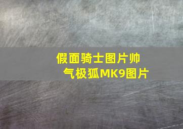 假面骑士图片帅气极狐MK9图片