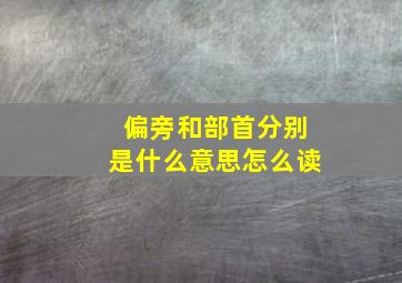 偏旁和部首分别是什么意思怎么读