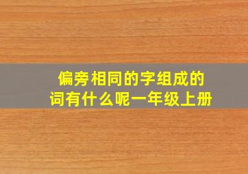 偏旁相同的字组成的词有什么呢一年级上册