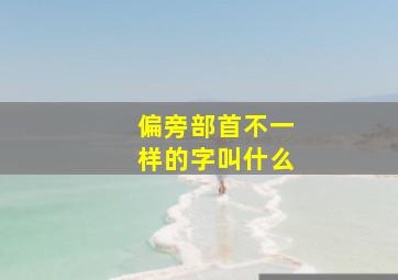 偏旁部首不一样的字叫什么