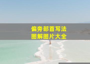 偏旁部首写法图解图片大全