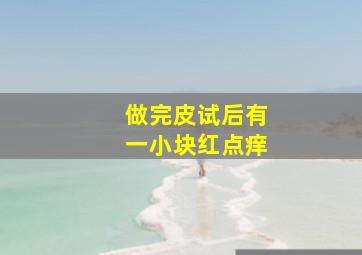 做完皮试后有一小块红点痒