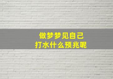 做梦梦见自己打水什么预兆呢