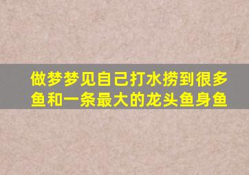 做梦梦见自己打水捞到很多鱼和一条最大的龙头鱼身鱼