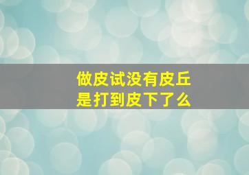 做皮试没有皮丘是打到皮下了么