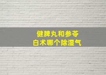 健脾丸和参苓白术哪个除湿气