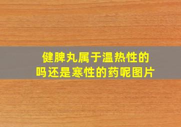 健脾丸属于温热性的吗还是寒性的药呢图片