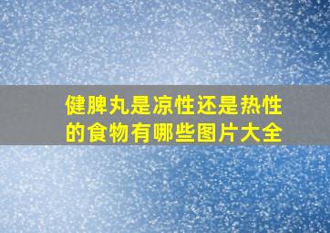 健脾丸是凉性还是热性的食物有哪些图片大全