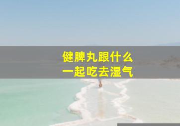 健脾丸跟什么一起吃去湿气