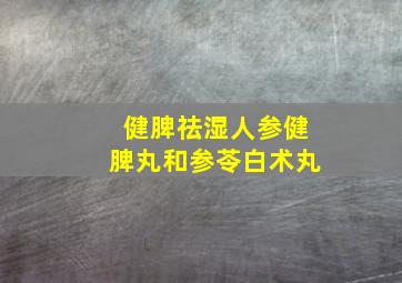 健脾祛湿人参健脾丸和参苓白术丸