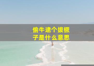 偷牛逮个拔橛子是什么意思