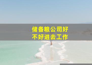 储备粮公司好不好进去工作