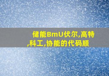 储能BmU伏尔,高特,科工,协能的代码顺