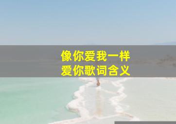 像你爱我一样爱你歌词含义