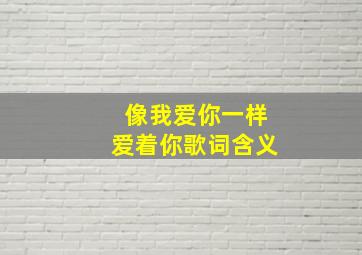 像我爱你一样爱着你歌词含义