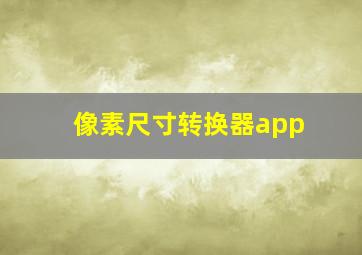 像素尺寸转换器app