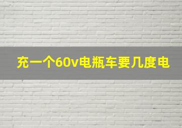 充一个60v电瓶车要几度电