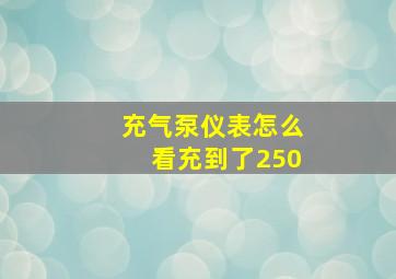 充气泵仪表怎么看充到了250