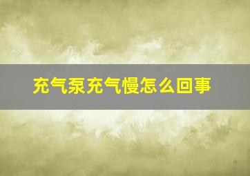 充气泵充气慢怎么回事