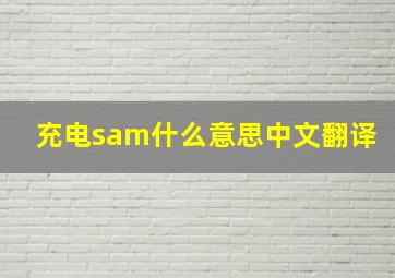 充电sam什么意思中文翻译