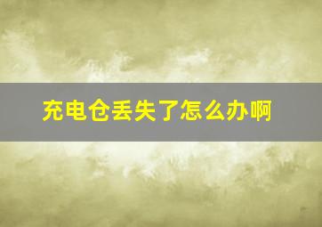 充电仓丢失了怎么办啊