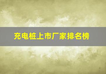 充电桩上市厂家排名榜