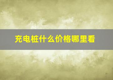 充电桩什么价格哪里看