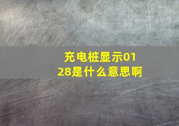 充电桩显示0128是什么意思啊