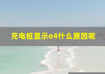 充电桩显示e4什么原因呢