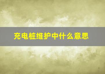 充电桩维护中什么意思