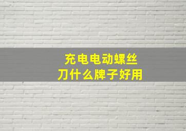 充电电动螺丝刀什么牌子好用