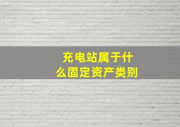 充电站属于什么固定资产类别