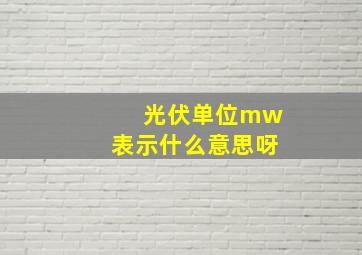 光伏单位mw表示什么意思呀