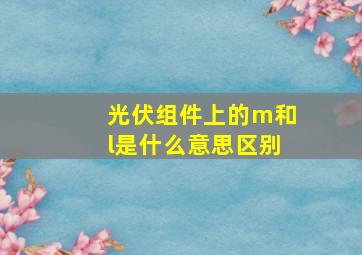 光伏组件上的m和l是什么意思区别