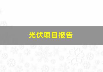 光伏项目报告