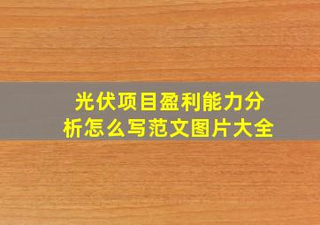 光伏项目盈利能力分析怎么写范文图片大全